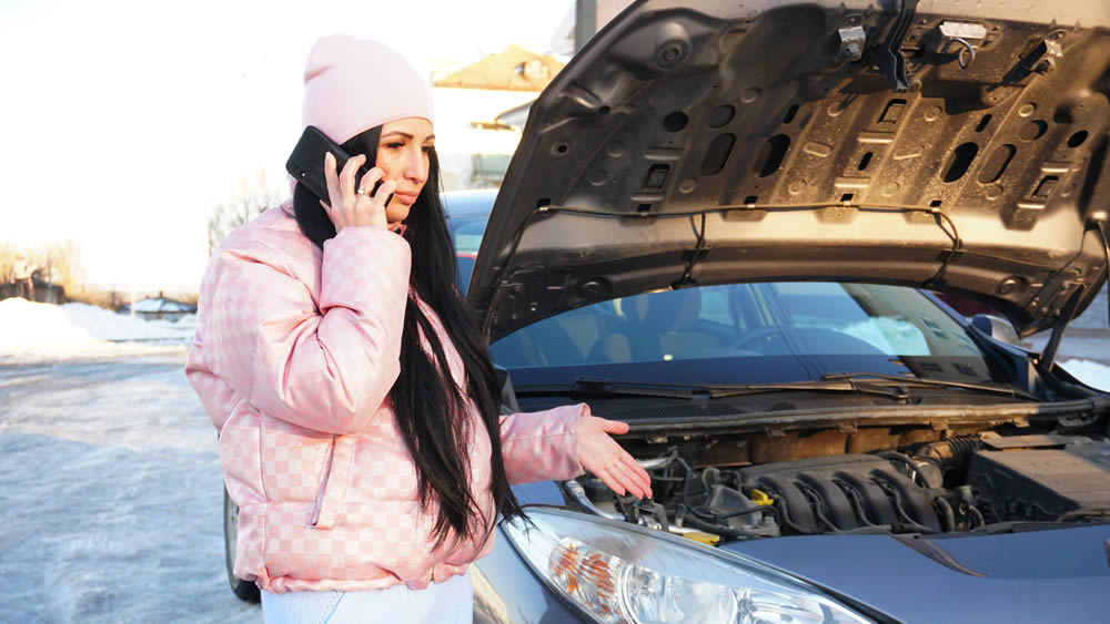 Free WInter Service Check